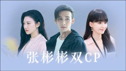什么是花生管链输送机?